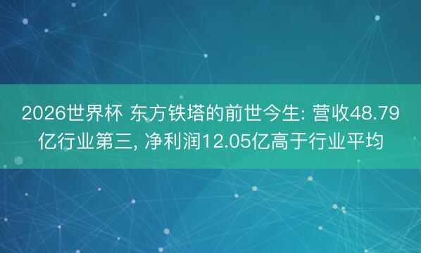 2026世界杯 东方铁塔的前世今生: 营收48.79亿行业第三, 净利润12.05亿高于行业平均